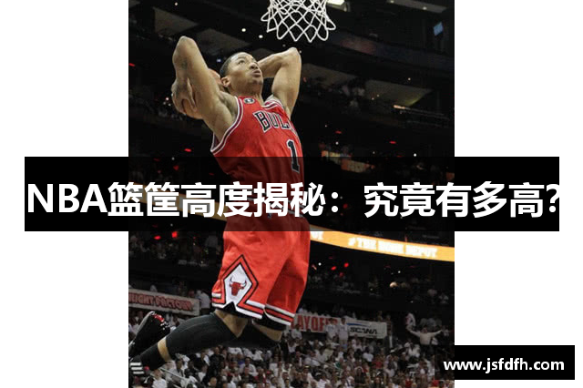 NBA篮筐高度揭秘：究竟有多高？